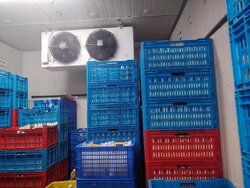 Jurong Food Hub (D22), Factory #506773571